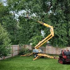 Best Hazardous Tree Removal  in Abingdon, MD